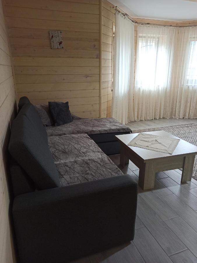 Brand New 2020 Specious Apartment Druzi 2 Palyanytsya Eksteriør billede