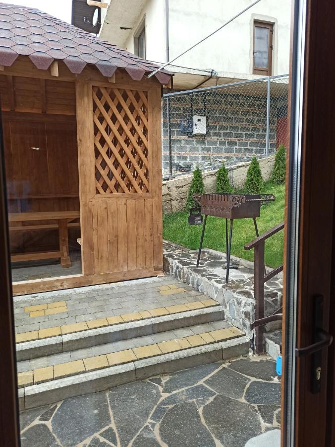 Brand New 2020 Specious Apartment Druzi 2 Palyanytsya Eksteriør billede