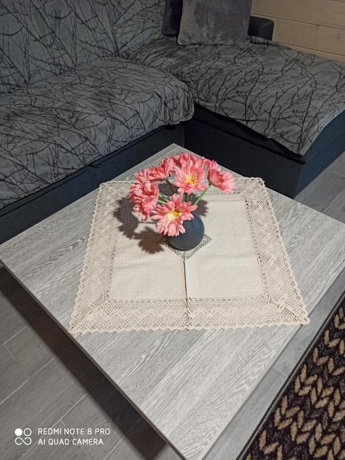Brand New 2020 Specious Apartment Druzi 2 Palyanytsya Eksteriør billede