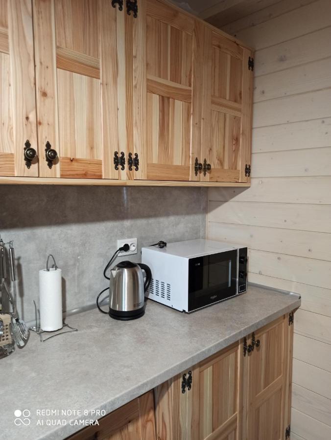 Brand New 2020 Specious Apartment Druzi 2 Palyanytsya Eksteriør billede