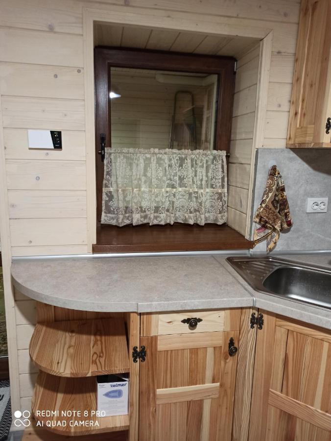Brand New 2020 Specious Apartment Druzi 2 Palyanytsya Eksteriør billede