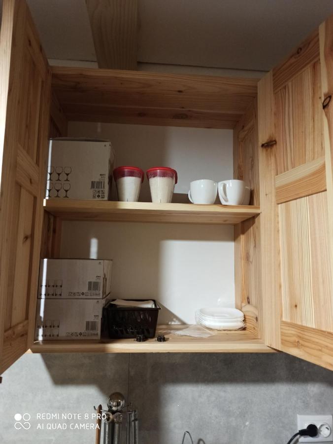 Brand New 2020 Specious Apartment Druzi 2 Palyanytsya Eksteriør billede