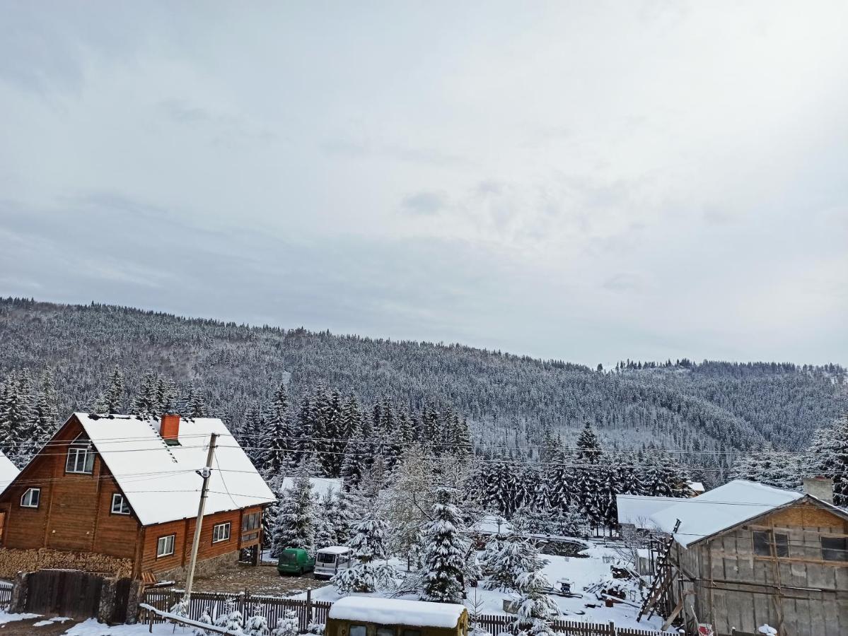 Brand New 2020 Specious Apartment Druzi 2 Palyanytsya Eksteriør billede