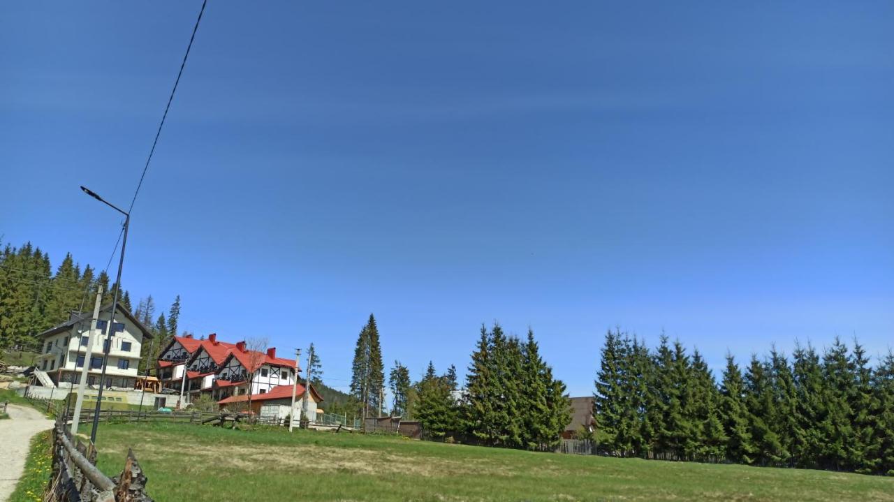 Brand New 2020 Specious Apartment Druzi 2 Palyanytsya Eksteriør billede